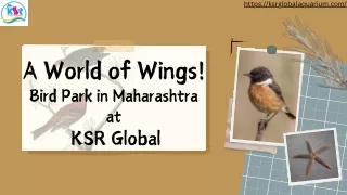 A World of Wings Bird Park in Maharashtra at KSR Global.