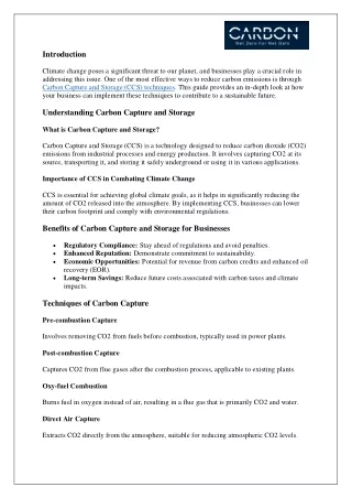 Effective Carbon Capture and Storage Techniques for Your Business