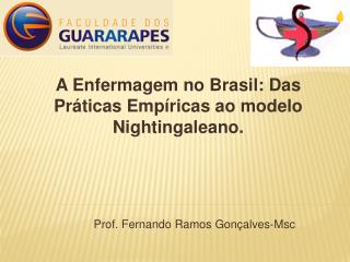 A Enfermagem no Brasil: Das Práticas Empíricas ao modelo Nightingaleano.