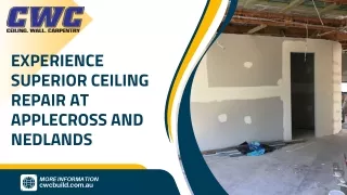 Experience Superior Ceiling Repair at Applecross and Nedlands