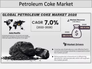 Petroleum Coke Market