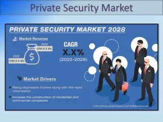 Private Security Market