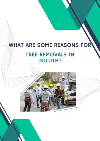What are some reasons for Tree Removals in Duluth?