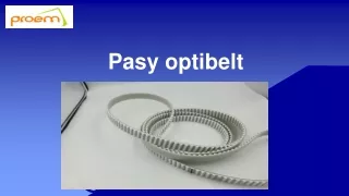 Pasy optibelt