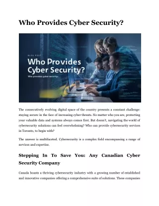 Who Provides Cyber Security?