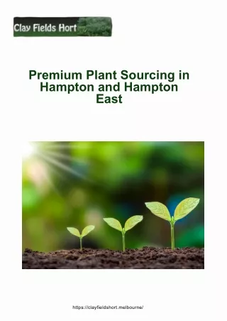Premium Plant Sourcing in Hampton and Hampton East