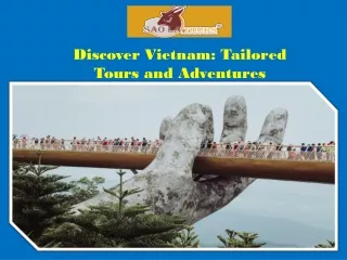 Discover Vietnam Tailored Tours and Adventures