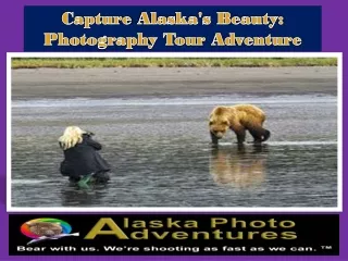 Capture Alaska's Beauty Photography Tour Adventure