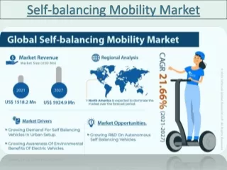 Self-balancing Mobility Market