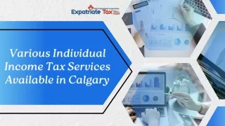 Various Individual Income Tax Services Available in Calgary