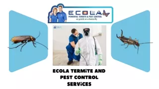 Best Mice Control Ecola Termite and Pest Control Services