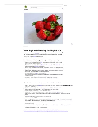 How to grow strawberry seeds plants in India