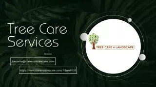 Tree Emergency In Sacramento-Tree Care Services