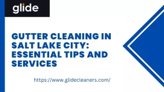 Gutter Cleaning in Salt Lake City Essential Tips and Services