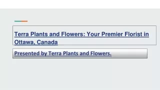 Terra Plants and Flowers: Your Premier Florist in Ottawa, Canada