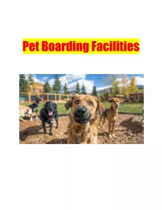 Pet Boarding Facilities