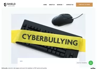 Combating Cyberbullying