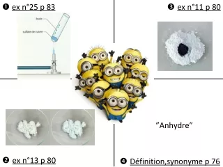 C505-Ex-Test chimique