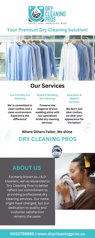 Carpet Cleaning|Dry Cleaning Pros