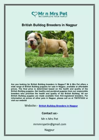 British Bulldog Breeders in Nagpur