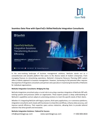 Seamless Data Flow with OpenTeQ's Skilled NetSuite Integration Consultants