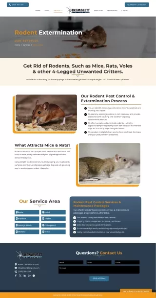 Rodent Extermination | Mice Pest Control Barrie – Tremblett Pest Control