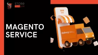 Comprehensive Magento Development Services by Store Transform