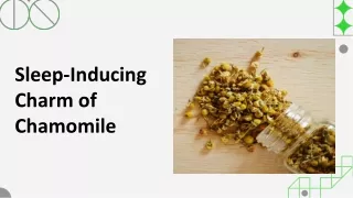 Sleep-Inducing Charm of Chamomile