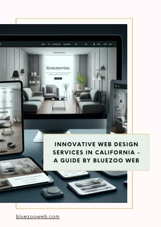 Innovative Web Design Services in California