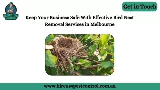 Keep Your Business Safe With Effective Bird Nest Removal Services in Melbourne