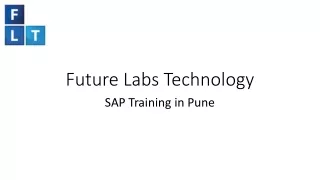 Pune sap ppt