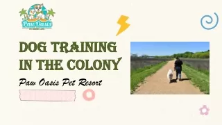 Dog Training in The Colony