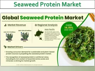 Seaweed Protein Market