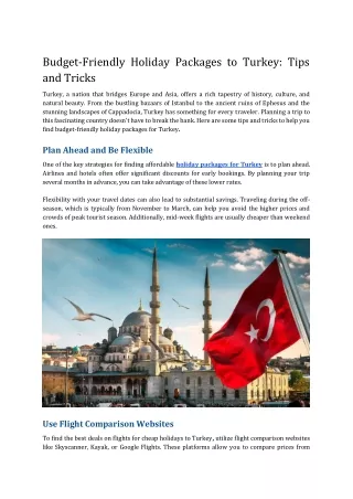 Budget-Friendly Holiday Packages to Turkey_ Tips and Tricks