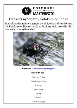 Fotokurs nybörjare  Fotokurs-online.se