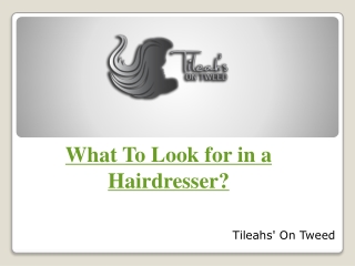 What To Look for in a Hairdresser?