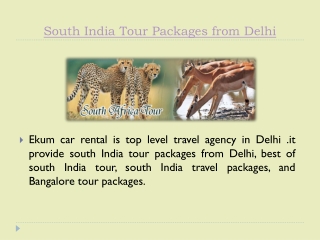 South India Tour Packages from Delhi