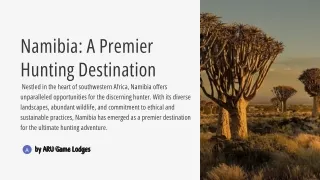 Embark on the Adventure of a Lifetime with Namibia Hunting Safaris