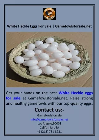 White Heckle Eggs For Sale  Gamefowlsforsale.net