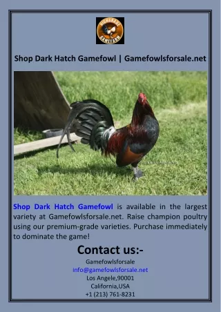 Shop Dark Hatch Gamefowl  Gamefowlsforsale.net