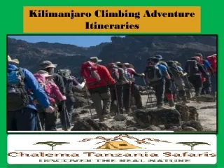 Kilimanjaro Climbing Adventure Itineraries