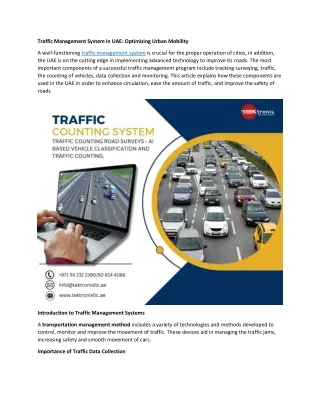 Traffic Management System in UAE