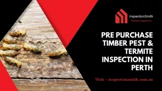 Pre Purchase Timber Pest & Termite Inspection in Perth