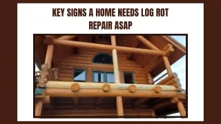 Get Professional Log Rot Repair Services