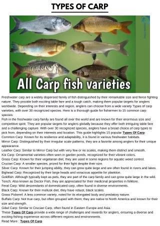 Types Of Carp
