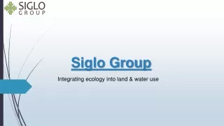 Revitalize Austin's Ecology with Siglo Group's Restoration Services