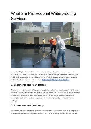 What are Professional Waterproofing Services