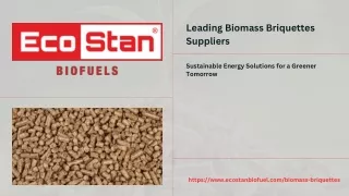 Leading Biomass Briquettes Suppliers