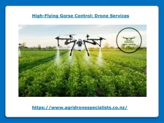 High-Flying Gorse Control - Drone Services