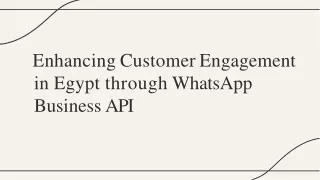 Enhancing Customer Engagement in Egypt through WhatsApp Business API